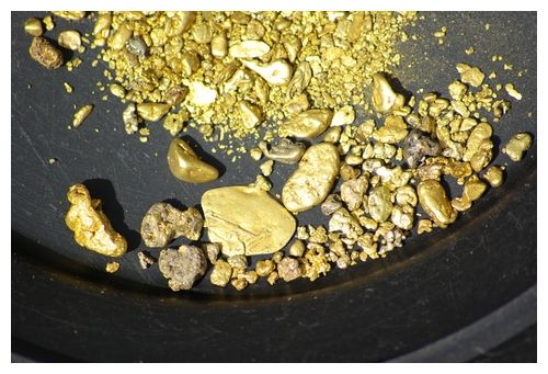 goldstandard2